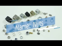 亜鉛合金の家具のナットの中国のさら穴を開けられたヘッド ナット